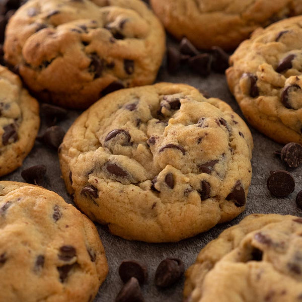 Chocolate Chip